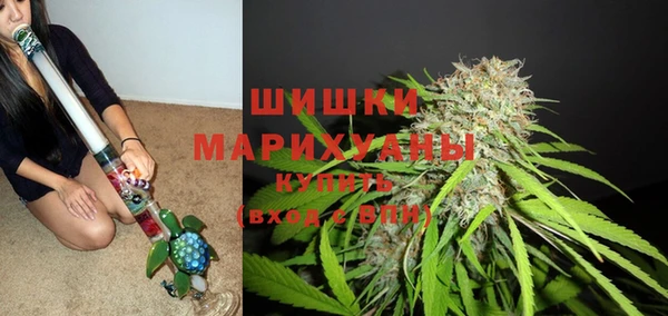 амф Абаза