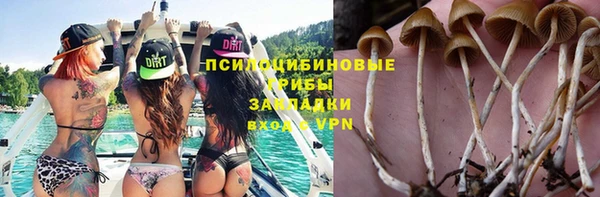 спиды Абдулино