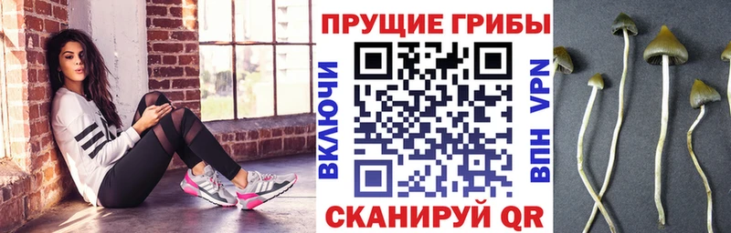 Галлюциногенные грибы ЛСД  дарнет шоп  Симферополь 